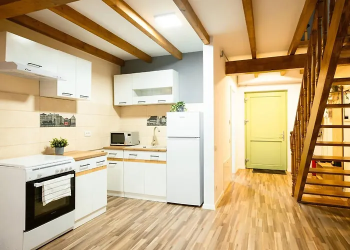 Nest In Middle Olt Town Near Cathedral - Libertii - Iulius Mall