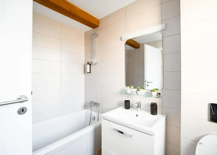 Nest In Middle Olt Town Near Cathedral - Libertii - Iulius Mall Apartamento Timişoara